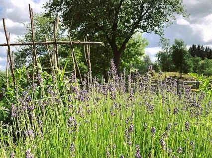 Kort meditation för att landa i dig själv 