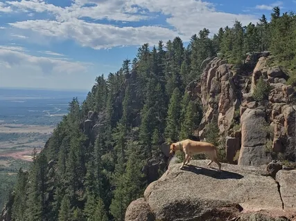 Kosha Meditation Through The Subtle Body