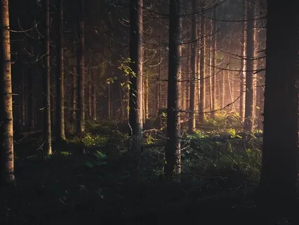 Koshi Chimes – Terra (Earth) For Mindful Listening