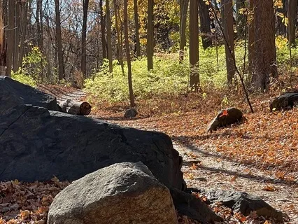 Koshin Paley Ellison: Zen Buddhism & Connection