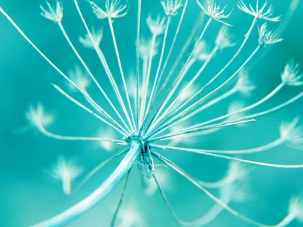 Krishna Govinda Govinda