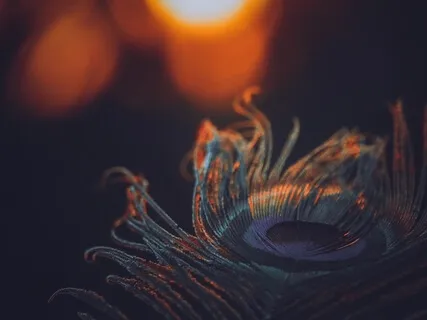 Krishna Jaap 5100 Times