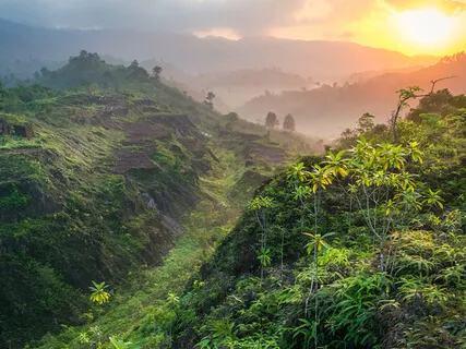 Krishna Krishna Mahayogin