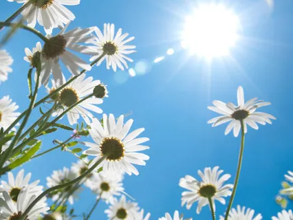 Kropsscanning Og Fokus Meditation