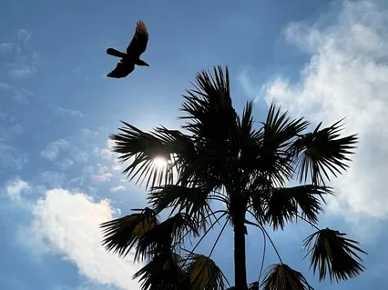 Krótka afirmacja na wzmocnienie i dobre samopoczucie.