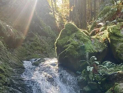 Kuan Shr Yin: Who Hears The Cries Of The World