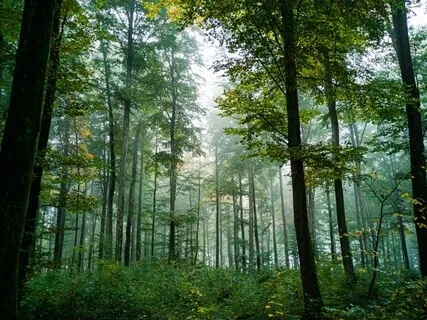 Kubla Khan Or A Vision In A Dream: A Fragment (Poem By Samuel Taylor Coleridge)