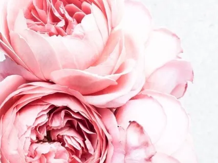 Культивация Самосострадания