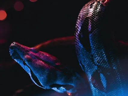 Kundalini Activation Meditation