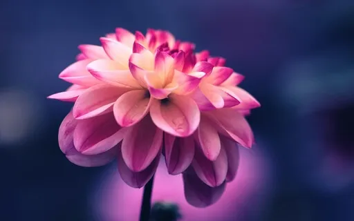 Kundalini Awakening & Chakra Expansion β’ Guided Meditation