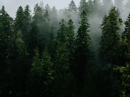 Spirit - Kundalini Awakening Sound Journey