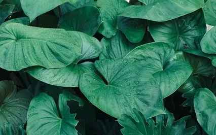 Kundalini Meditation To Release Anger 