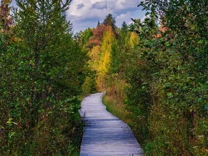 Kundalini Meditation