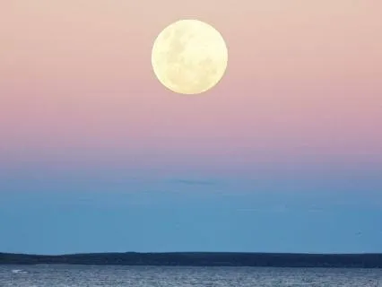 Kundalini Rising In A Leo Full Moon - February 2026