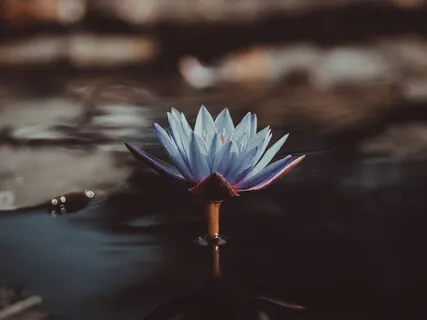 Mantra For The Way Through Every Block - Kundalini Sutra #2