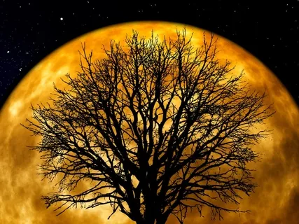 Kundalini Yoga For General Health And Wellbeing