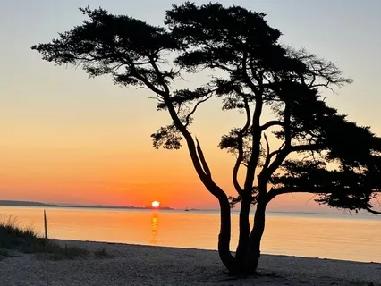 Kvällspraktik för zentrerat ledarskap