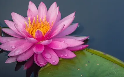 Kwan Yin Mantra Meditation (OM Mani Padme Hum 108 Times)