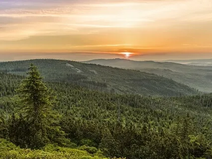 Morning Affirmations - Caffe Latte