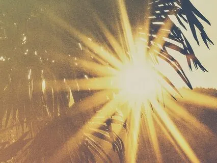 La Alegría de Vivir (Piano - Meditación)