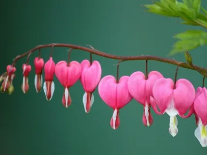 La ilaha illa’llah-Lunch Break