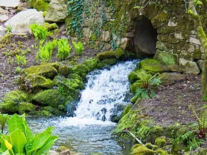 La Source Op 44 - Alphonse Hasselmans