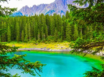 La voix des Anges (The Voice Of Angels)