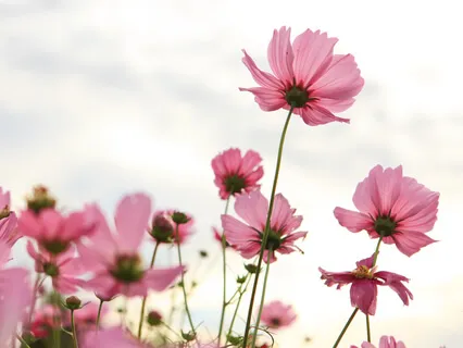 Label The Thought As It Appears And Then Choose To Let It Go