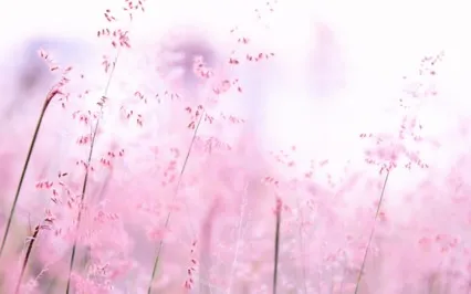 Labelling Your Thoughts And Letting Them Go