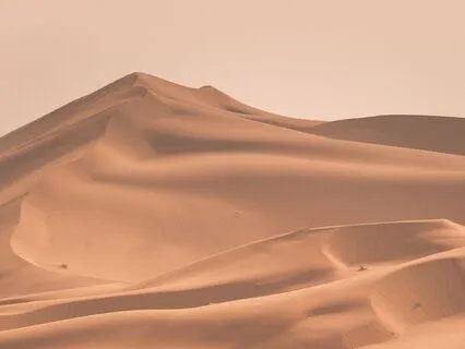 Labyrinth Of Silence