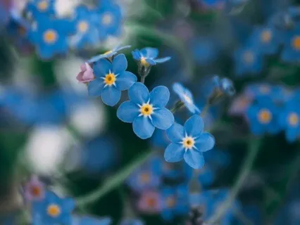 Labyrinth Of Thanks - May 02