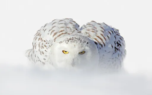 Labyrinth To Your Spirit Guide