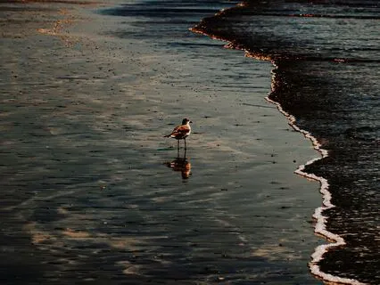 Ladder Box Breathing 4-5-6-7-8-7-6-5-4