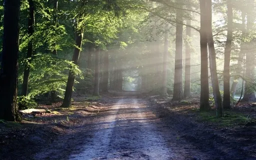 Lagoa Do Fogo With Jesse Lynn