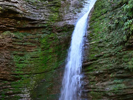 Lagonaki Waterfalls (Field Recordings)