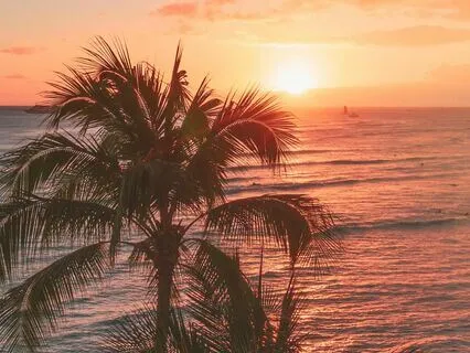 Laid Back Acoustic Guitar For Mental Clarity (3 Minutes)