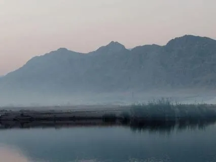 Lake Mist