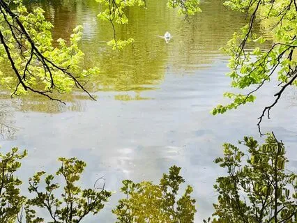 Lake of Possibilities Guided Meditation to Set Intentions