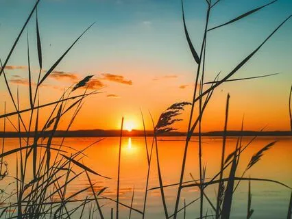 Lake Reflection Relaxation