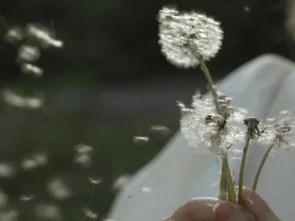 Lakshmi Meditation For Abundance