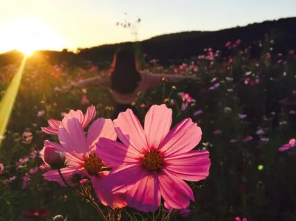 Lakshmi Visual Meditation 