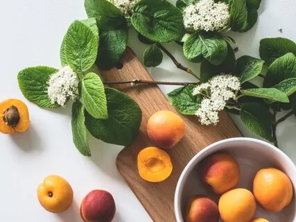 Mindful Eating Exercise