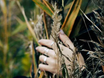 Lammas Meditation: Celebrate & Be Proud Of You