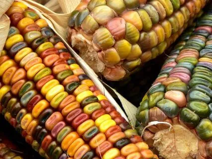 Lammas Or Lughnasadh Cozy Chat