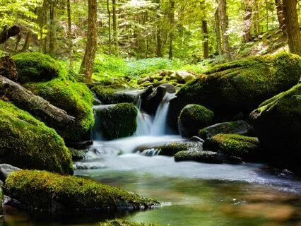 Land Of The Jinn: Bedtime Story