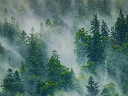 Land Of Tranquility – 10 Minute Calm Meditation