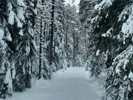 Landa I Nuet Med Ditt Andetag