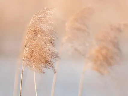 Landing In The Breath (With Music)
