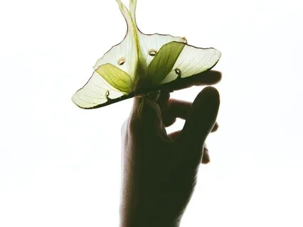 Landing Prenatal Meditation