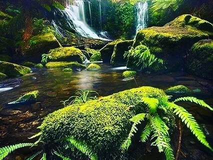 Landscape Meditation & Body Scan